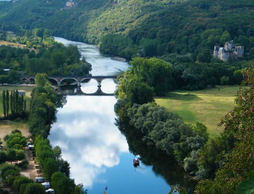 5 Tips voor activiteiten in de omgeving